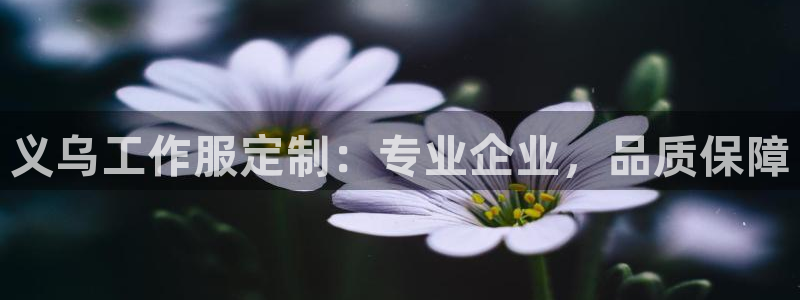 long8|义乌工作服定制：专业企业，品质保障
