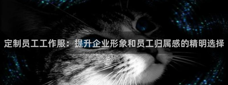 头号玩家龙8国际|定制员工工作服:提升企业形象和员工归属感的精明选择