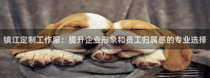头号玩国际娱乐官网|镇江定制工作服：提升企业形象和员工归属感的专业选择